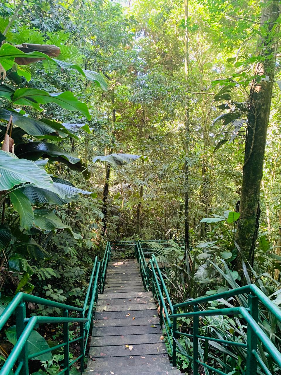 Tortuguero WhatsApp Image 2025-12-06 at 11.40.46 AM (1)